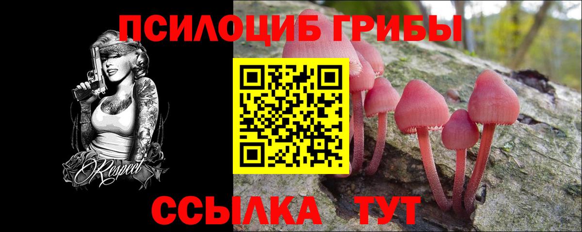 Минеральные Воды  Галлюциногенные грибы мицелий  Галлюциногенные грибы Psilocybine cubensis  Вход с VPN 